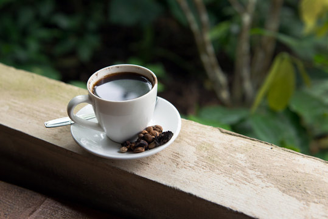 Cà phê Luwak hay còn gọi là cà phê chồn, loại cà phê đặc sản của Indonesia - Ảnh: ISTOCK